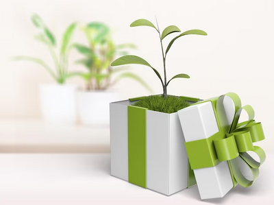 Plant Gifts for Every Occasion: A Green and Growing Trend