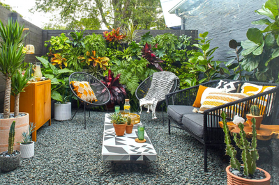 Greening Small Spaces: Enhancing Your Patio and Windowsill with Plants By Post