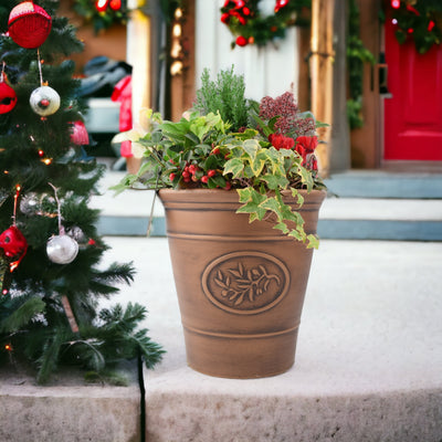 Christmas Outdoor Plant Gifts