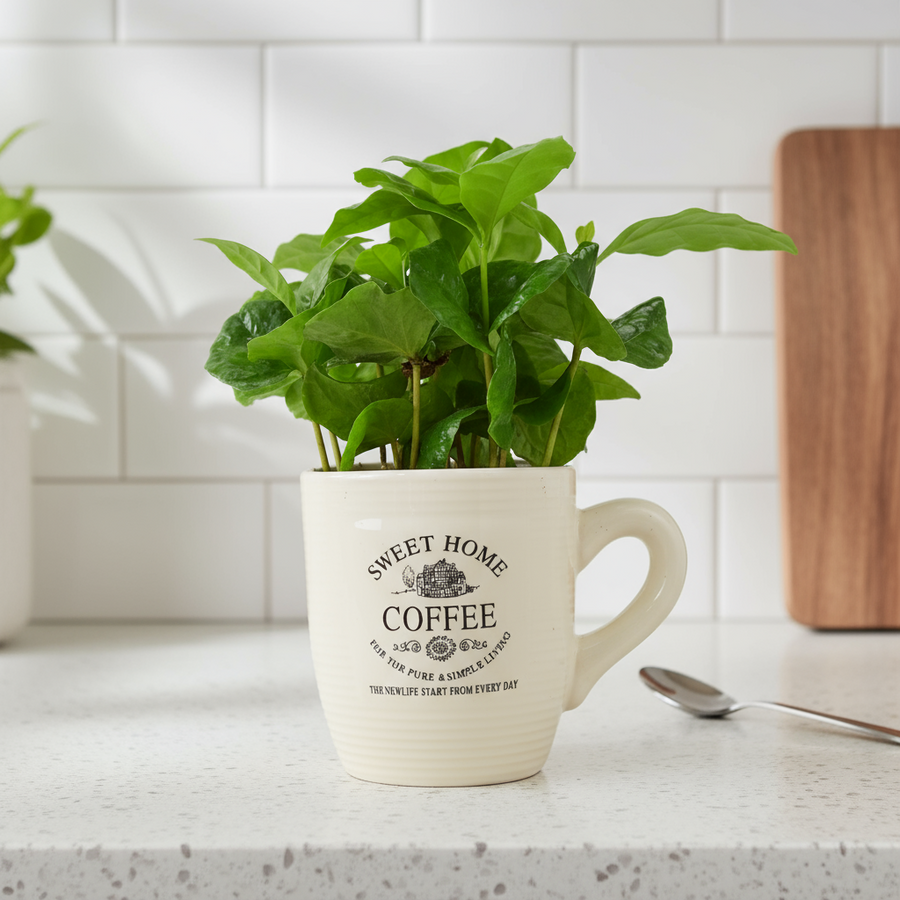 Coffee Cup Plant – Indoor Greenery in Ceramic Mug Planter Plants By Post