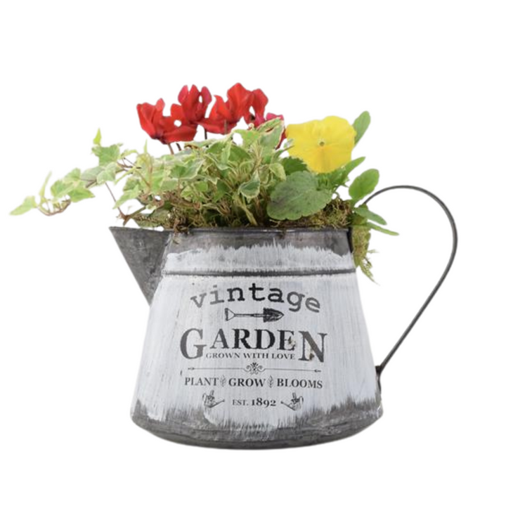 Seasonal Vintage Jug Planter - Pre-Planted Cottage Garden Display Plants By Post