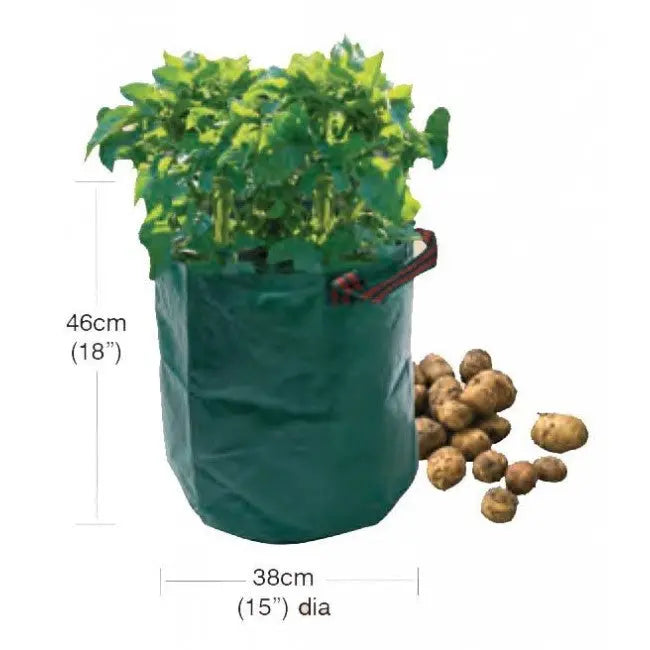 Potato Bag Plants By Post - Main Image