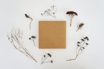 Sustainable Gift Guide