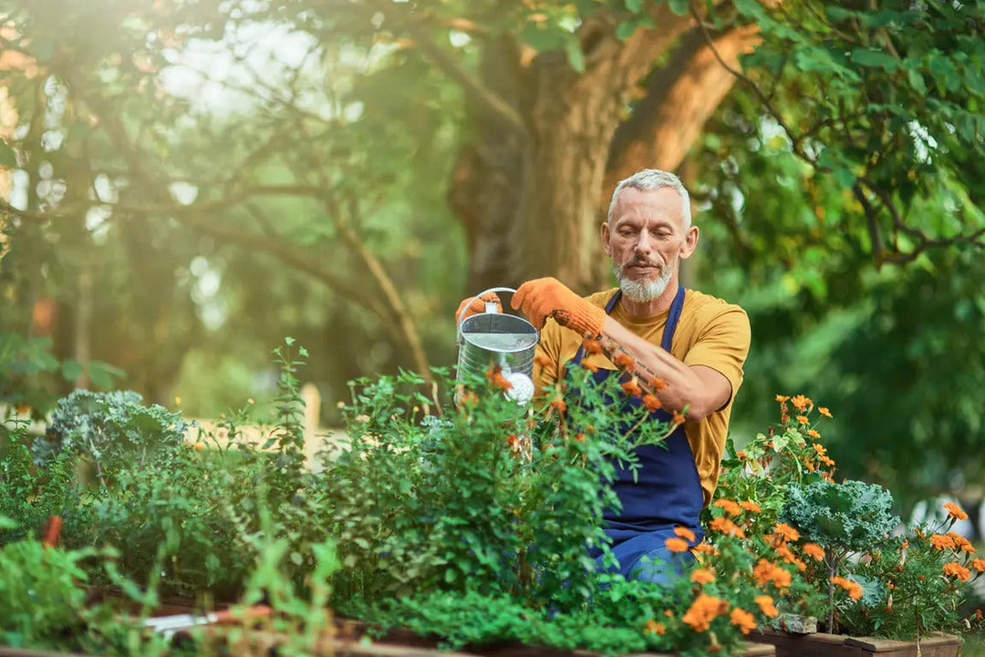 Green Thumbs Unite: Celebrating National Gardening Week 2024 with Plants By Post - Plants By Post