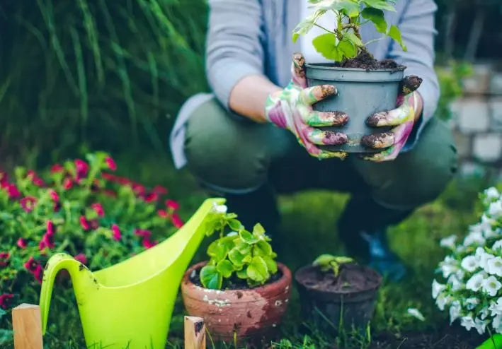 Unearth Well Being: How Gardening Cultivates Mental and Physical Health - Plants By Post