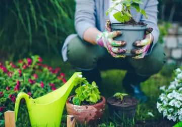 Unearth Well Being: How Gardening Cultivates Mental and Physical Health - Plants By Post