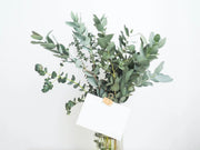 Guide To Best Plants To Give As Gifts