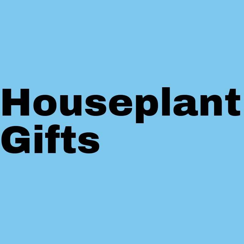 Indoor Plant Gifts