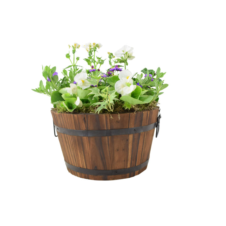 Seasonal Planted Wooden Barrel – 30cm Rustic Outdoor Planter with Mixed Seasonal Flowers Plants By Post