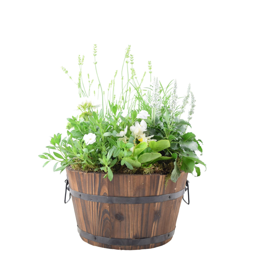 Seasonal Planted Wooden Barrel – 30cm Rustic Outdoor Planter with Mixed Seasonal Flowers Plants By Post