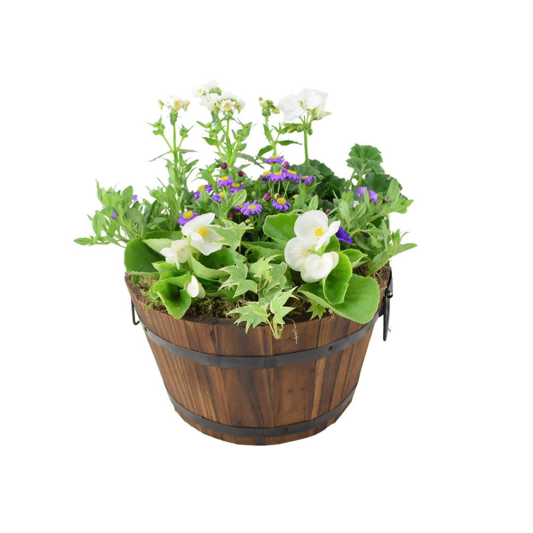 Seasonal Planted Wooden Barrel – 30cm Rustic Outdoor Planter with Mixed Seasonal Flowers Plants By Post