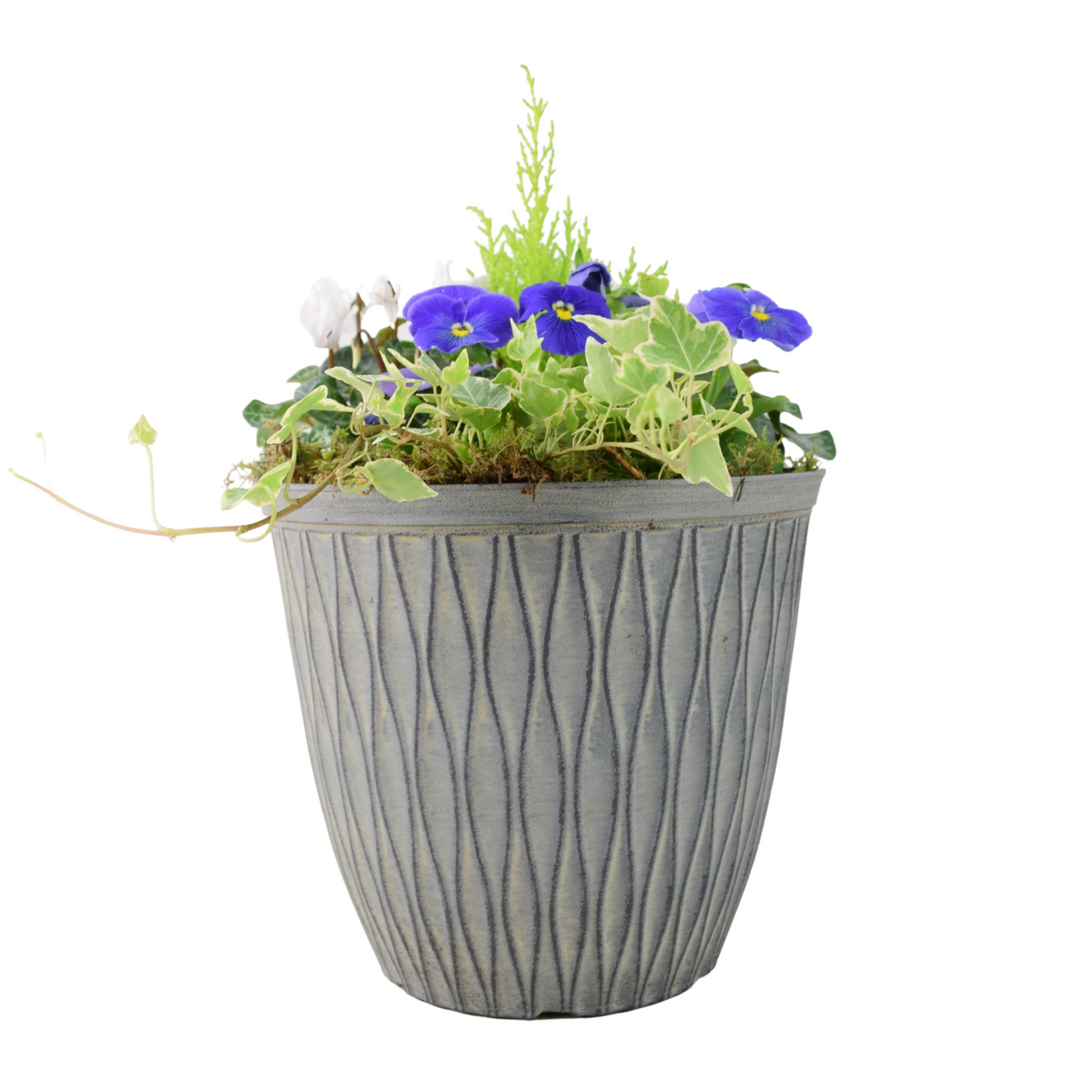 Vibrant Seasonal Outdoor Container – Hot Colours or Ocean Plants By Post