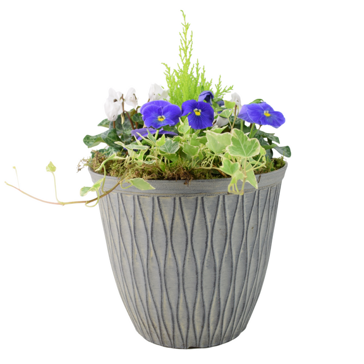 Vibrant Seasonal Outdoor Container – Hot Colours or Ocean Plants By Post