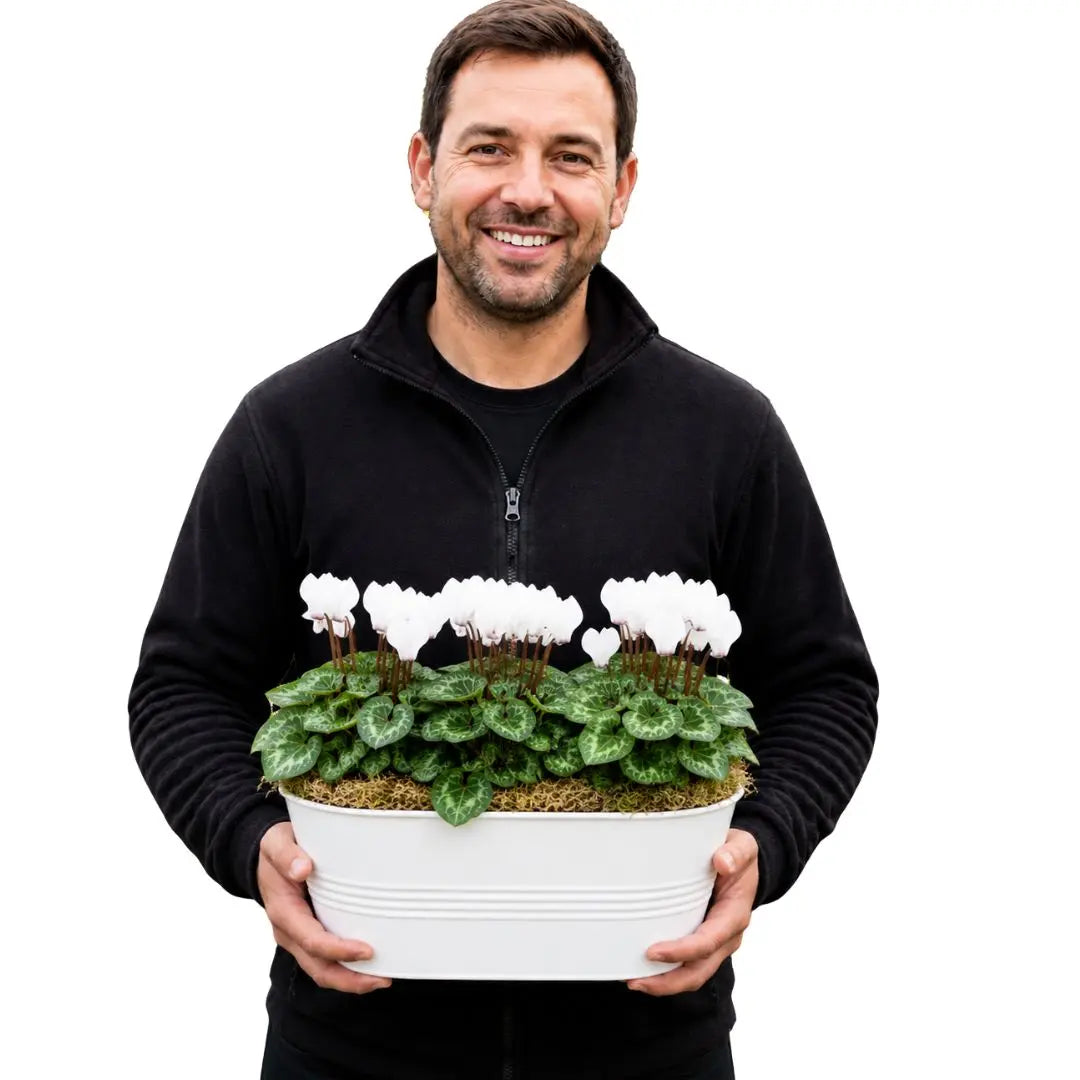 White Metal Trough with Mixed Seasonal Plants – Moss Finish Garden Planter Plants By Post