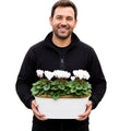 White Metal Trough with Mixed Seasonal Plants – Moss Finish Garden Planter Plants By Post