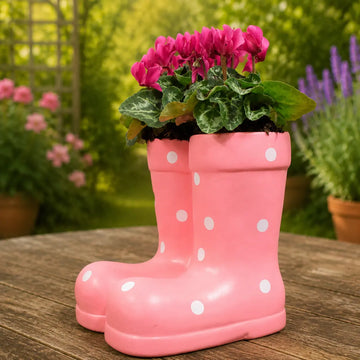 Pink Ceramic Polka Dot Wellies with Seasonal Cyclamen – Moss Finish Plants By Post