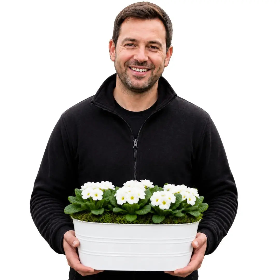 White Metal Trough with Mixed Seasonal Plants – Moss Finish Garden Planter Plants By Post