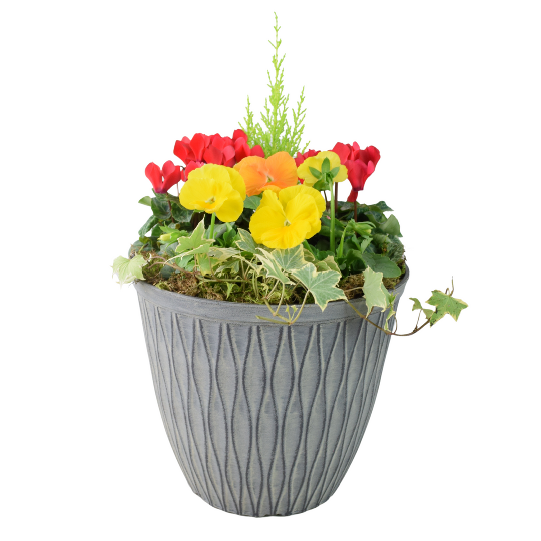 Vibrant Seasonal Outdoor Container – Hot Colours or Ocean Plants By Post