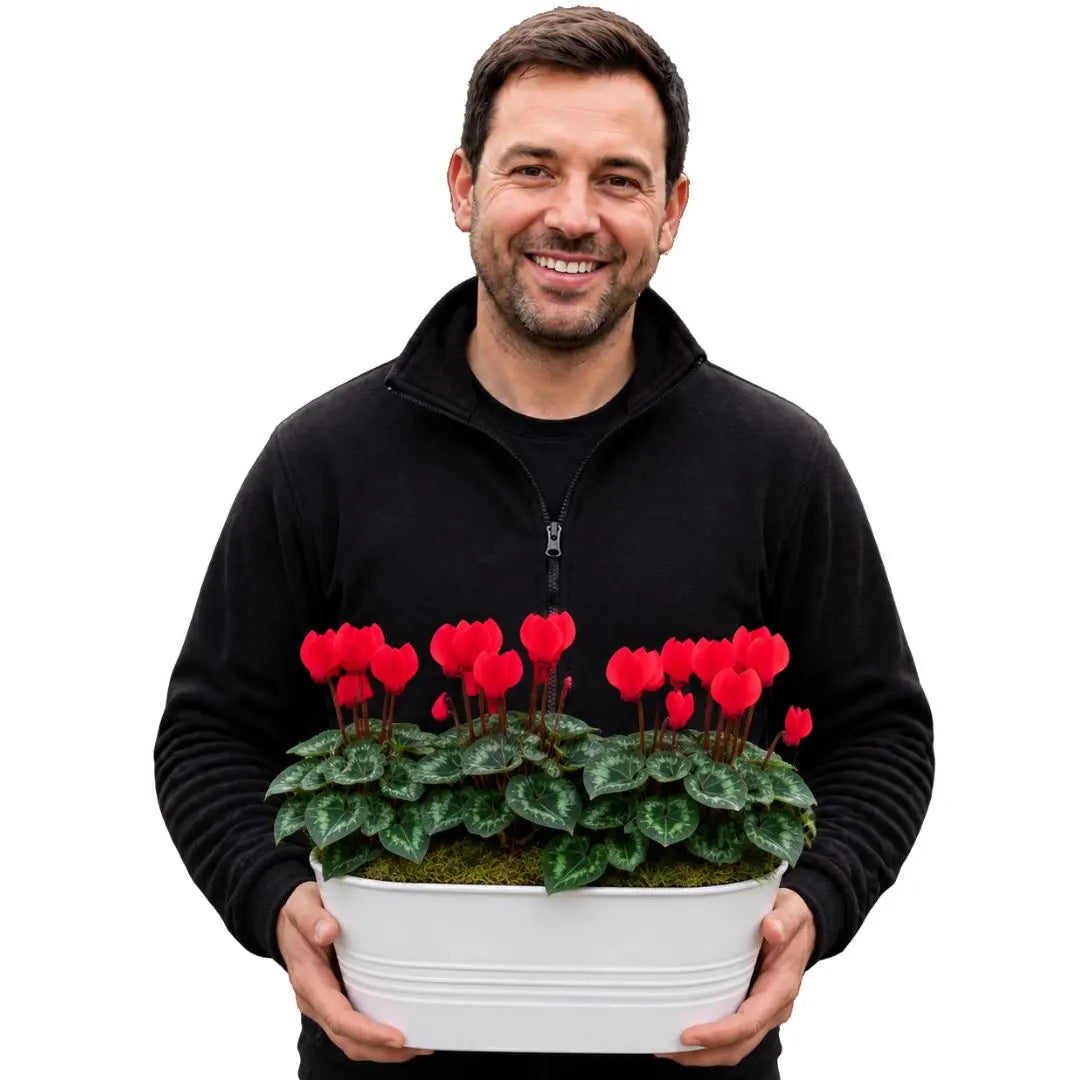 White Metal Trough with Mixed Seasonal Plants – Moss Finish Garden Planter Plants By Post