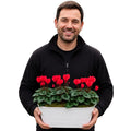 White Metal Trough with Mixed Seasonal Plants – Moss Finish Garden Planter Plants By Post