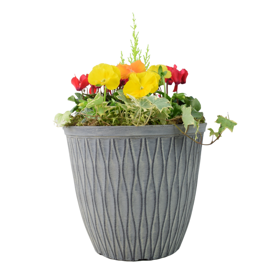 Vibrant Seasonal Outdoor Container – Hot Colours or Ocean Plants By Post
