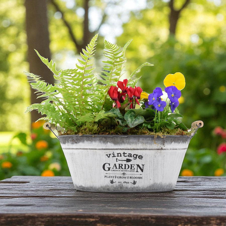 Vintage Trough Seasonal Planter with Mixed Outdoor Plants – Garden Gift & Patio Plants By Post
