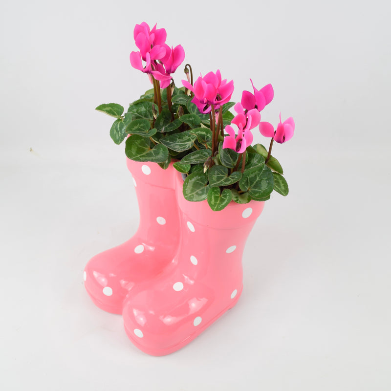 Wellies Seasonal Planter