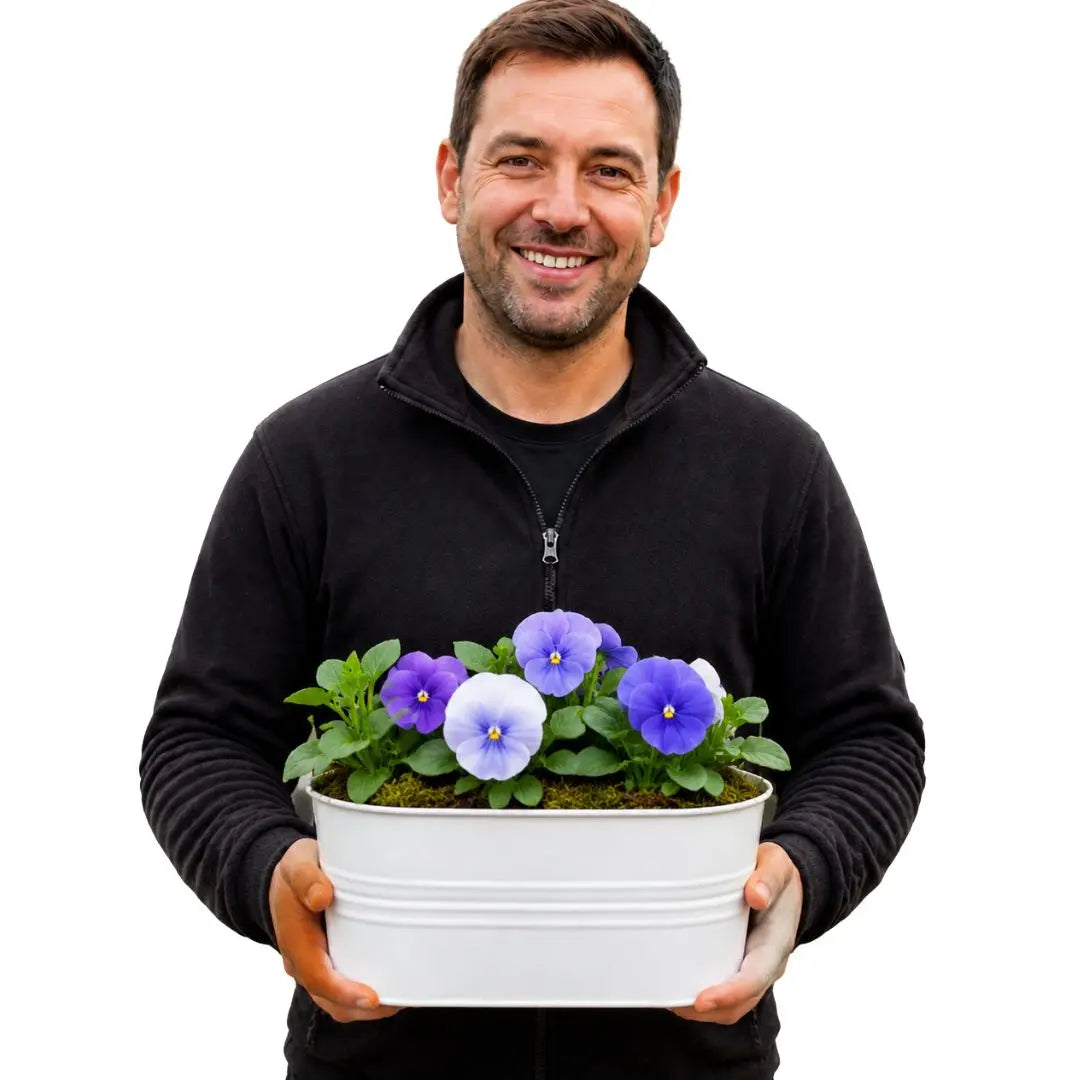 White Metal Trough with Mixed Seasonal Plants – Moss Finish Garden Planter Plants By Post