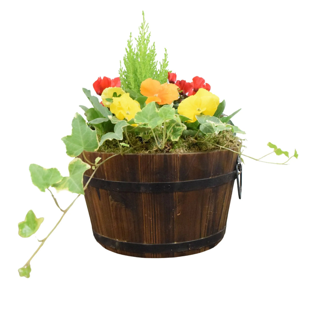 Wooden Seasonal Barrel with Mixed Plants – Moss Finish Planter Plants By Post