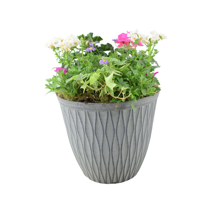 Vibrant Seasonal Planted Container – 26cm Decorative Outdoor Planter with Seasonal Flowers Plants By Post