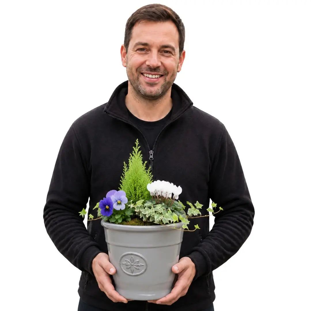 Olive Planter with Mixed Seasonal Plants – Grey or Green Garden Container Plants By Post