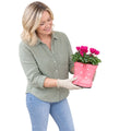 Pink Ceramic Polka Dot Wellies with Seasonal Cyclamen – Moss Finish Plants By Post