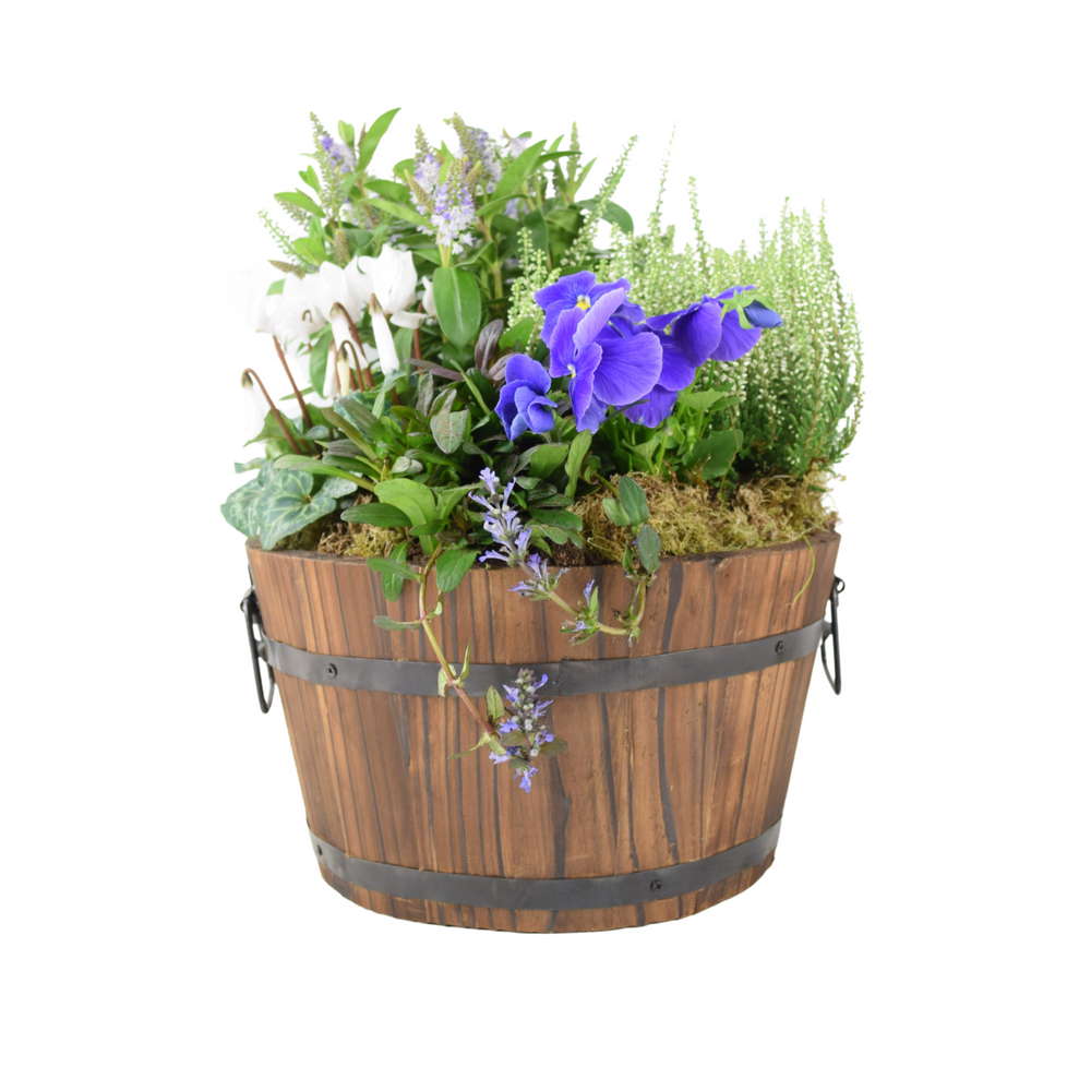 Seasonal Planted Wooden Barrel – 30cm Rustic Outdoor Planter Plants By Post
