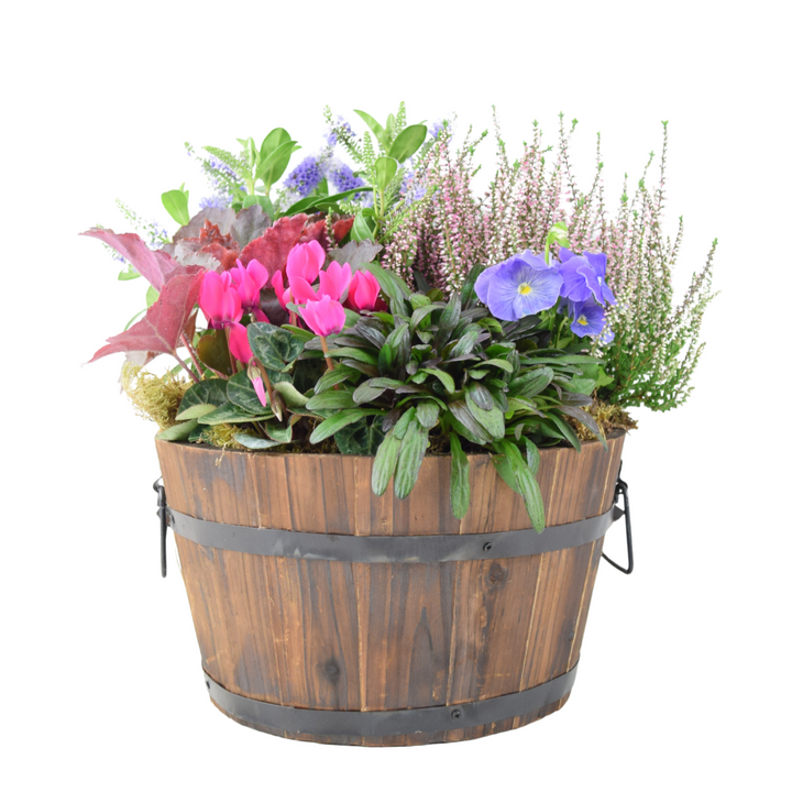 Seasonal Planted Wooden Barrel – 30cm Rustic Outdoor Planter Plants By Post