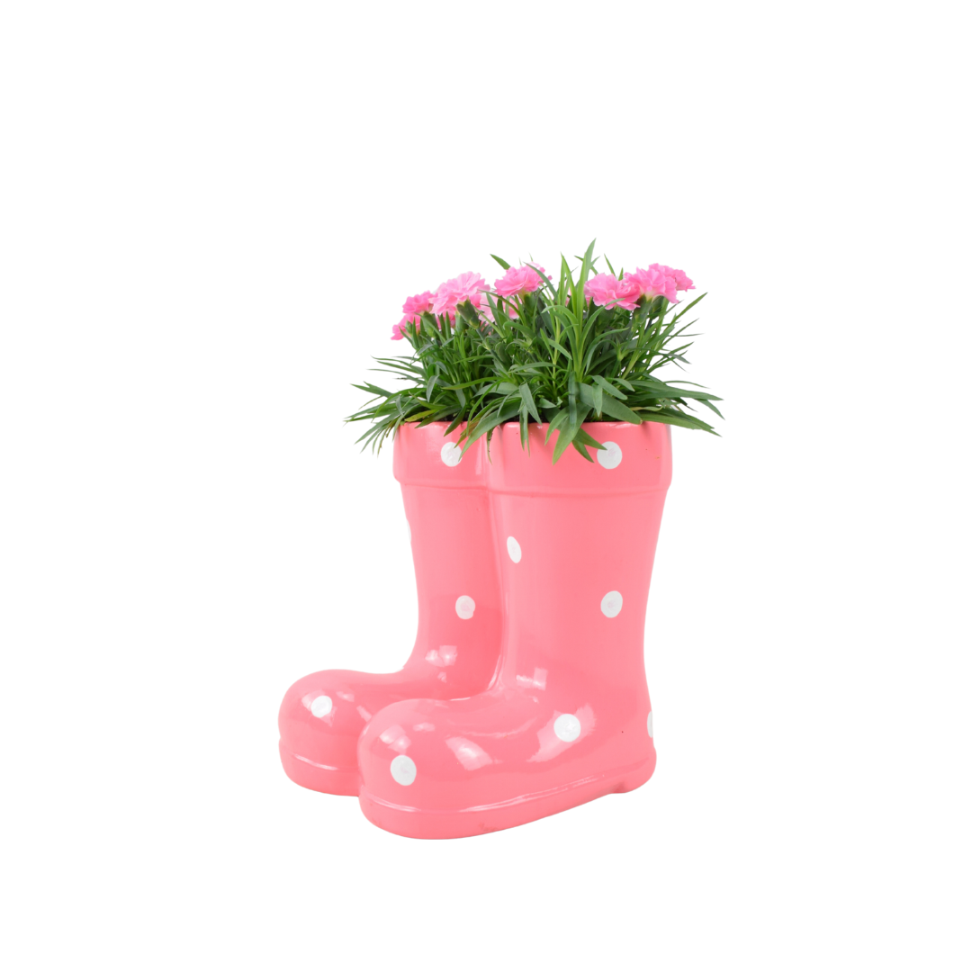 Pink Polka Dot Wellies Planter with Dianthus – Ceramic Garden Decor Plants By Post
