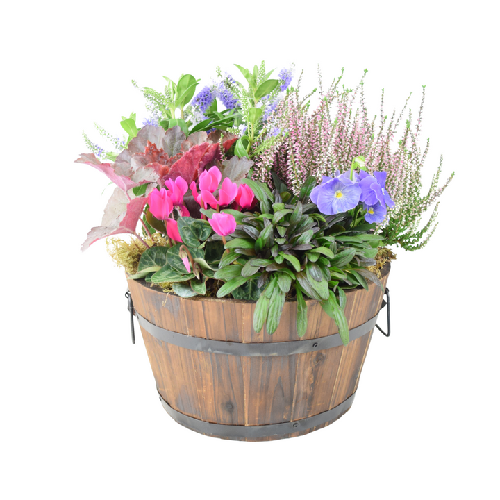 Seasonal Planted Wooden Barrel – 30cm Rustic Outdoor Planter Plants By Post