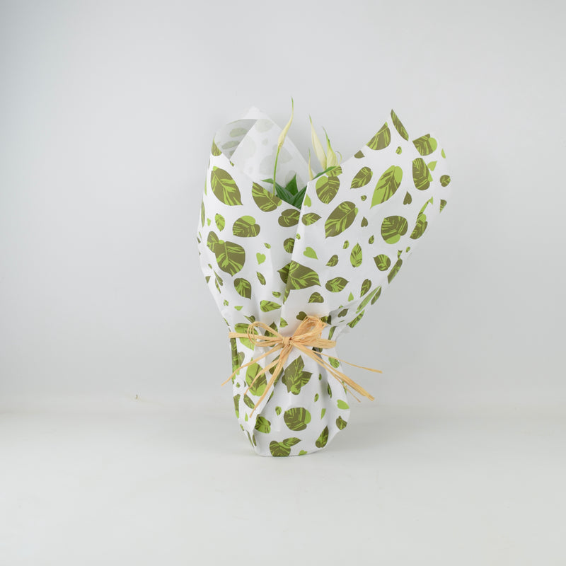 Gift Wrap