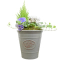 Olive Planter with Mixed Seasonal Plants – Grey or Green Garden Container Plants By Post