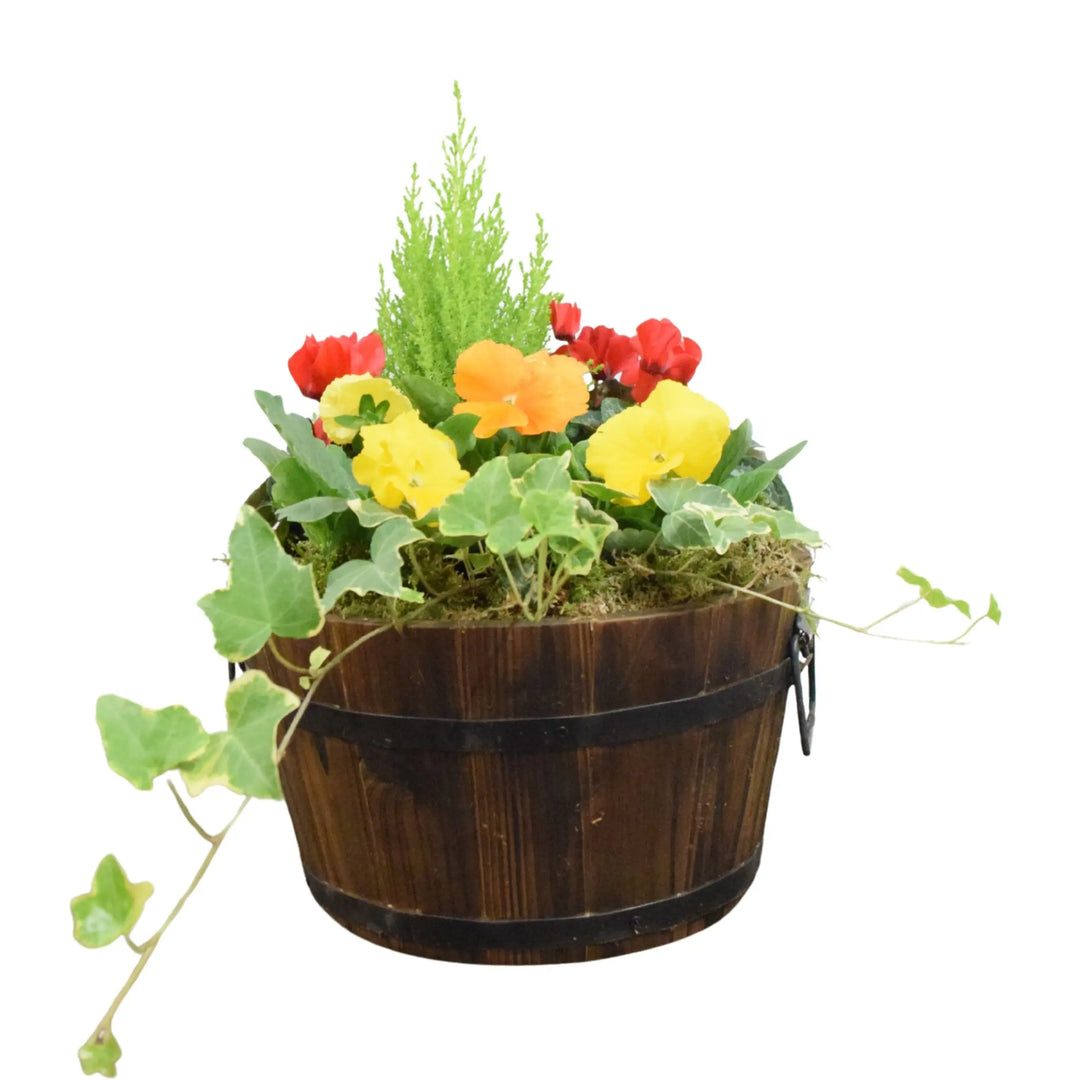 Wooden Seasonal Barrel with Mixed Plants – Moss Finish Planter Plants By Post