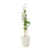 Metal Vertical Line Cream