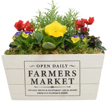 Seasonal Farmers Market White Wooden Trough with Mixed Plants – Moss Finish Planter Plants By Post