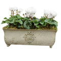 Traditional Metal Trough with Seasonal Cyclamen – Moss Lining Plants By Post