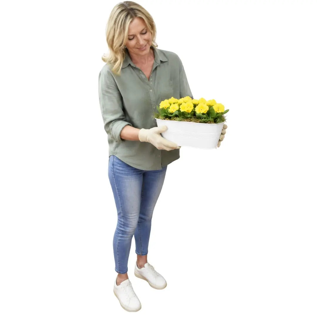 White Metal Trough with Mixed Seasonal Plants – Moss Finish Garden Planter Plants By Post