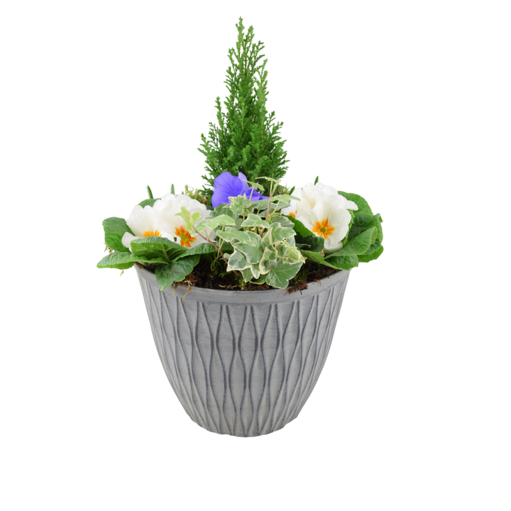Vibrant Seasonal Planted Container – 26cm Decorative Outdoor Planter with Seasonal Flowers Plants By Post