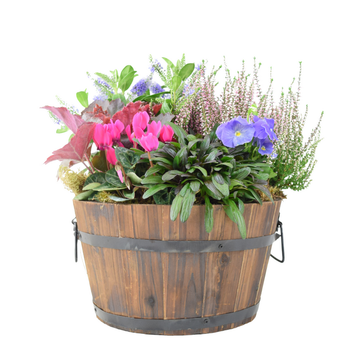 Seasonal Planted Wooden Barrel – 30cm Rustic Outdoor Planter Plants By Post