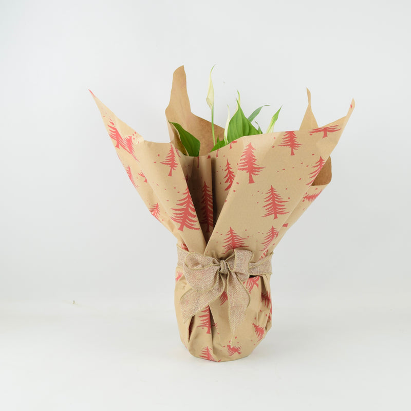 Gift Wrap