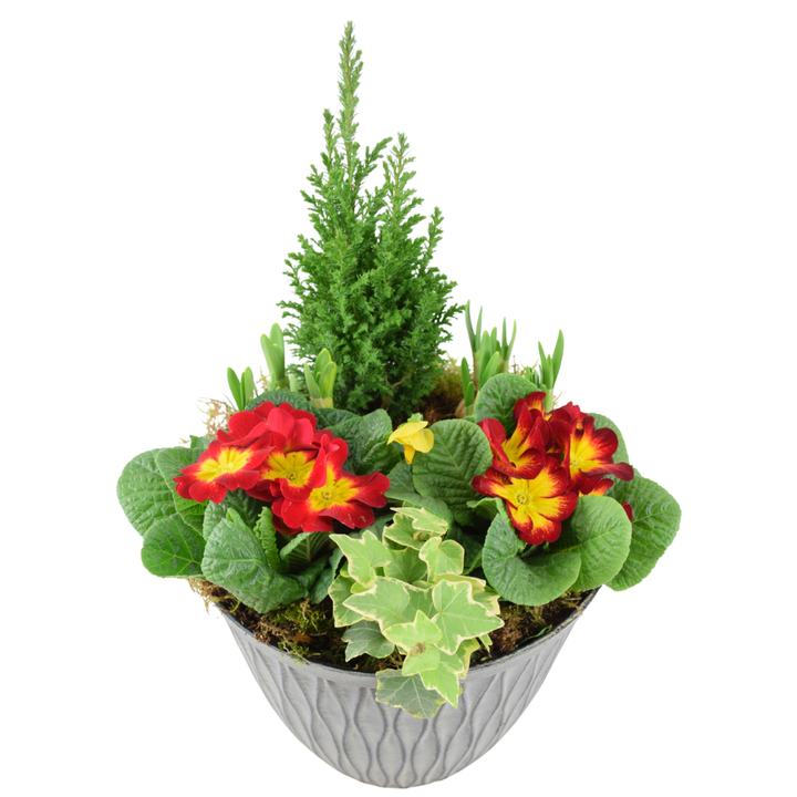 Vibrant Seasonal Planted Container – 26cm Decorative Outdoor Planter with Seasonal Flowers Plants By Post