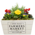 Seasonal Farmers Market White Wooden Trough with Mixed Plants – Moss Finish Planter Plants By Post