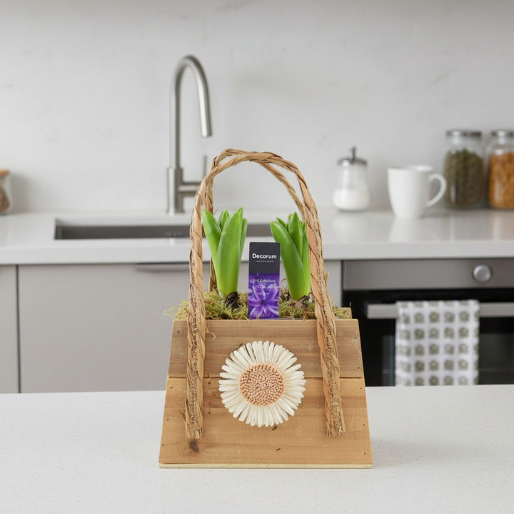 Spring Scented Hyacinth Handbag Planter Plants By Post