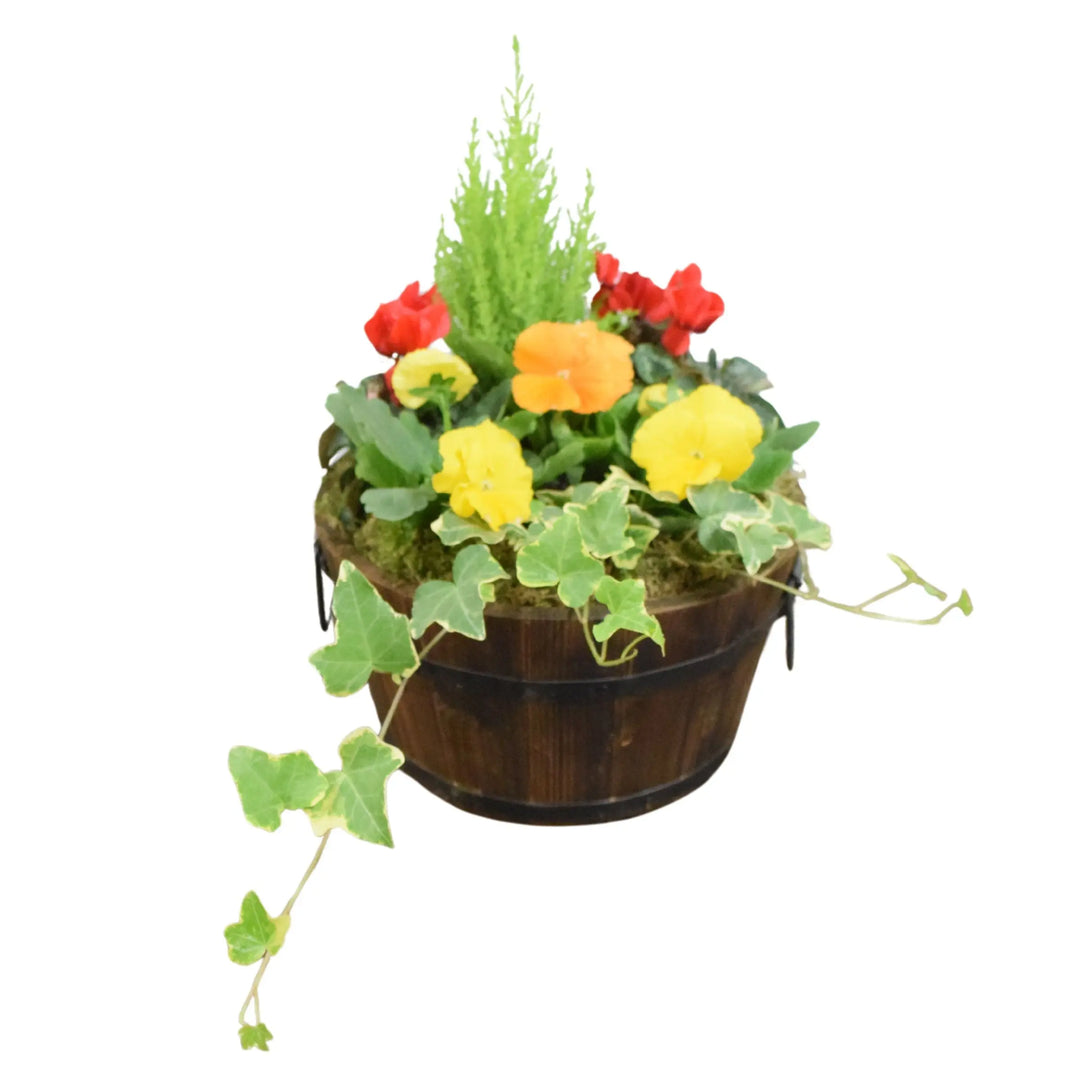 Wooden Seasonal Barrel with Mixed Plants – Moss Finish Planter Plants By Post